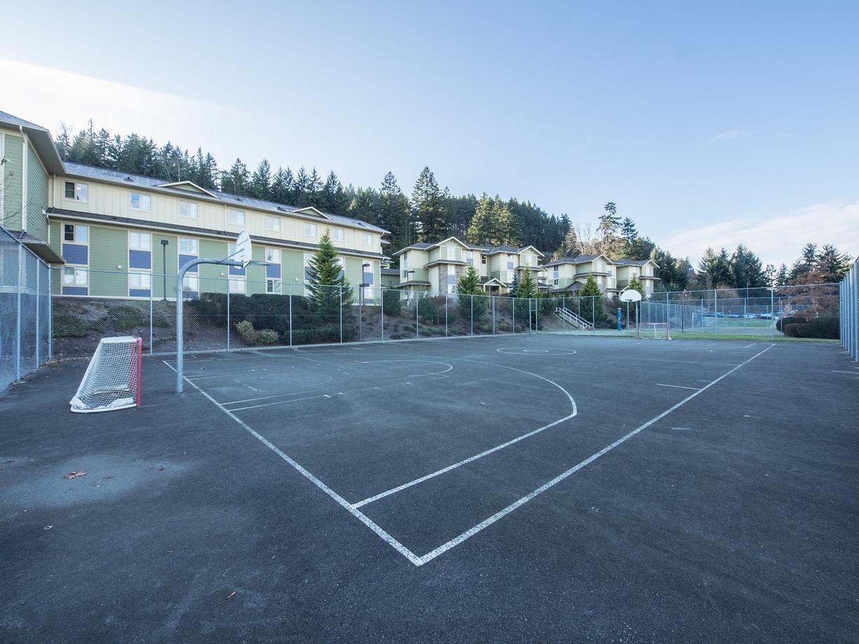 Basketball Court Student Housing basketball court